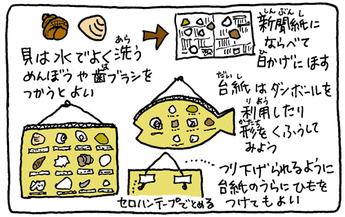 貝をつかった工作 貝をつかった工作